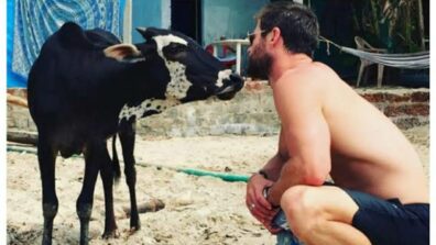 Throwback To A Pic When Chris Hemsworth Tried Kissing A Cow Back In India