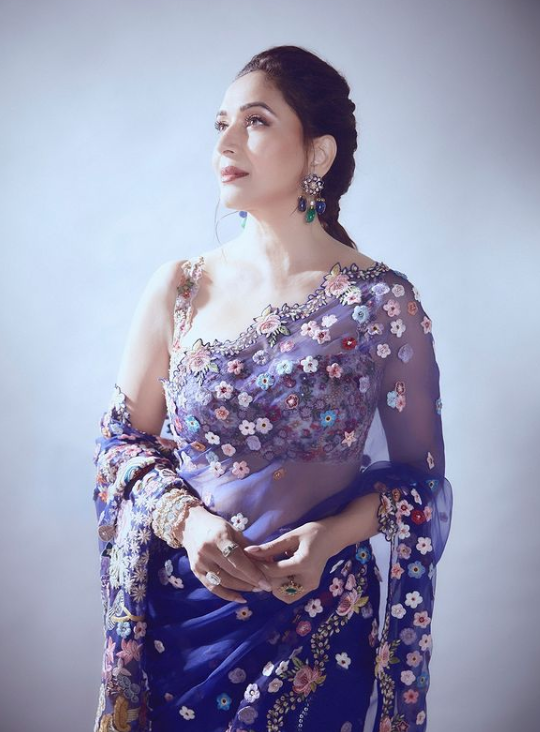 Timeless Beauty Madhuri Dixit Looks Aesthetically Gorgeous In This Rahul Mishra’s Floral Embroidered Saree, Glimpses Here - 1