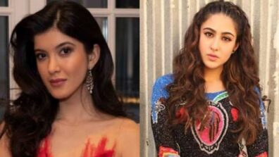 Unique Yet Breathtaking! From Shanaya Kapoor To Sara Ali Khan: Take Cues From Bollywood Divas For Some Elegant Hairstyles This Festive Season