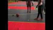 Watch A Adorable Video Of A Squirrel Participating In A Basketball Game With Players, Has Left Netizens Amazed!