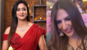 Wedding Celebration Goals: Shweta Tiwari raises the heat in the red saree, ‘jalebi bai’ Divyanka Tripathi wants to party hard and chill all night