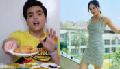 Yummy Tummy: Raj Anadkat shares his special delicacies, has Palak Sindhwani bought a new house?