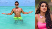 Zindagi Ke Maaze Le Raha Hoon: Aditya Narayan shares shirtless snap flaunting his hot physique from swimming pool, ‘hot babe’ Nia Sharma reacts