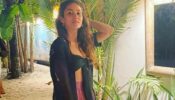 FRIENDS Or Schitt’s Creek: Mira Rajput Picks Her Favourite Show: Checkout