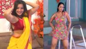 Monalisa & Rani Chatterjee Hot Dance That Made Us Go Nuts
