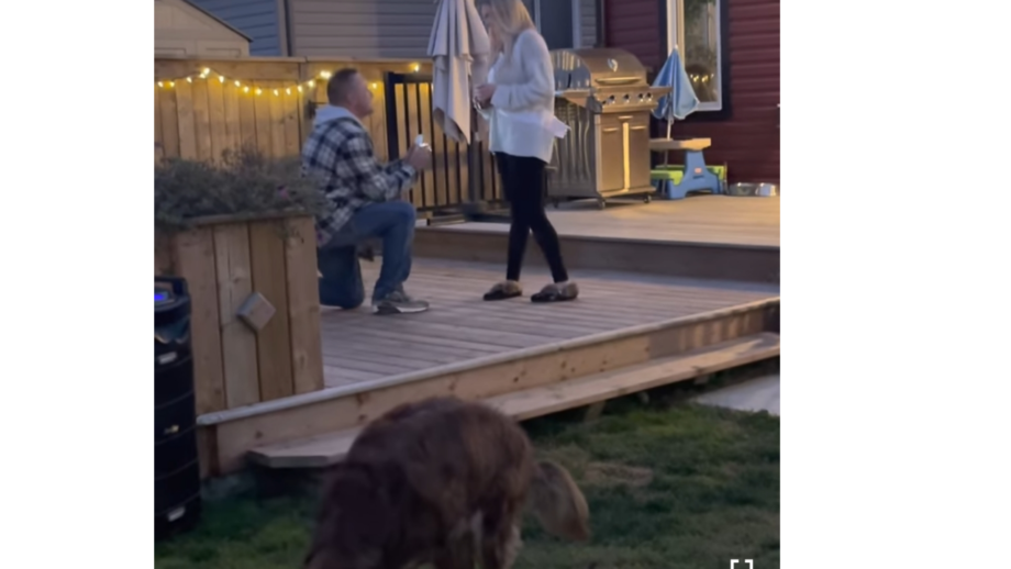 A Man Proposing To His Babe For Marriage Has Been Doing The Rounds Of The Internet, Watch The Video To Know The Hilarious Reason 502980
