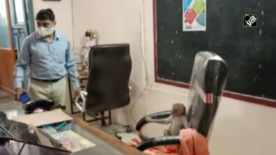 A Viral Video Of A Monkey Seen Playing Around In A School’s Principal’s Office