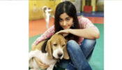 Adah Sharma Shares Funny Experience While Shooting With A Dog In Aisa Waisa Pyar