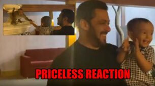 Adorable video: Salman Khan and niece Ayat feed bananas to monkeys, watch her priceless reaction