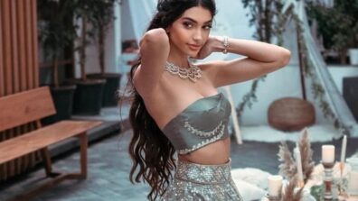 Alanna Panday Makes Head Turn In Strapless Grey Lehenga From Her Engagement Look: See Pics