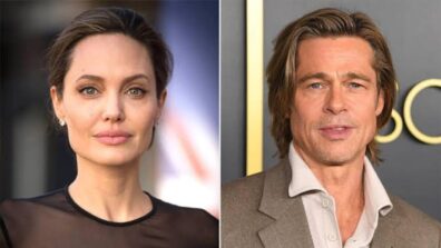 Angelina Jolie Officially Parted Ways With The French Winery She Owned With Brad Pitt, Insider