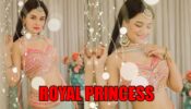 Avneet Kaur looks like a royal princess in pastel pink and green lehenga, fans can’t stop drooling
