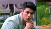 Bigg Boss 15: Here Are 5 Instances When Pratik Sehajpal Showed His Aggression On The Show