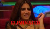 Bigg Boss 15: Miesha Iyer gets eliminated 