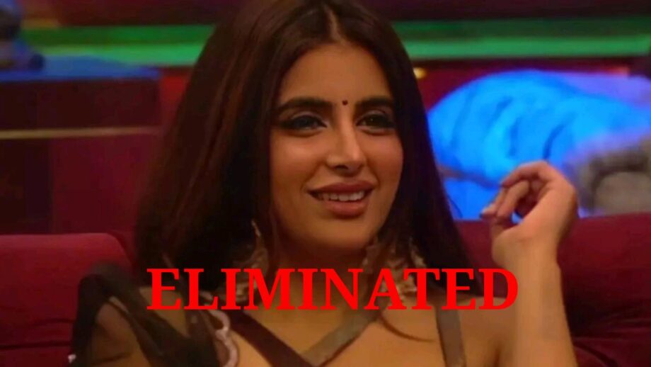 Bigg Boss 15: Miesha Iyer gets eliminated  499091