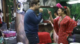 Bigg Boss 15 spoiler alert: Non-VIPs andolan against the VIPs