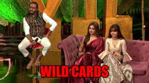 Bigg Boss 15 spoiler alert: Rashami Desai, Devoleena Bhattacharjee and Abhijeet Bichukale to enter as wild cards
