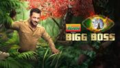 Bigg Boss 15: Steamiest Wild Card Entries To Be In The House Of Bigg Boss