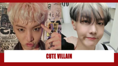 BTS J-Hope Calls Suga Cute Villain: Read On