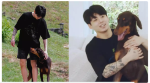 BTS Jungkook Apologizes To His Cute Pet Bam & Reason Has Left Internet Melting