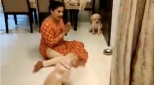 Delightful Video: A Woman Teaches Pups To Pray Before Eating Meal, Sweet Video Will Brighten Your Day