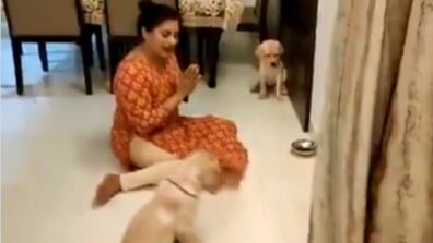 Delightful Video: A Woman Teaches Pups To Pray Before Eating Meal, Sweet Video Will Brighten Your Day