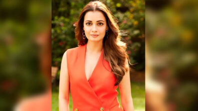 Dia Mirza Talks On How She Feels On Being Pregnant: Here Is What She Said