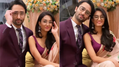 Erica Fernandes and Shaheer Sheikh want to give each other a playful, joyous experience, what’s cooking?