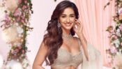 Fan Asks Disha Patani About Her Figure: Here Is How She Replied