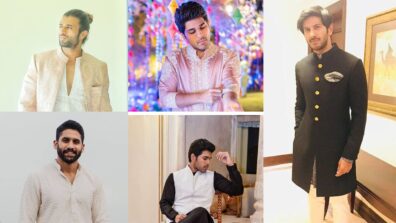 From Allu Sirish to Vijay Deverakonda, Naga Chaitanya and Dulquer Salmaan: Get your Diwali vogue game strong like these South stars