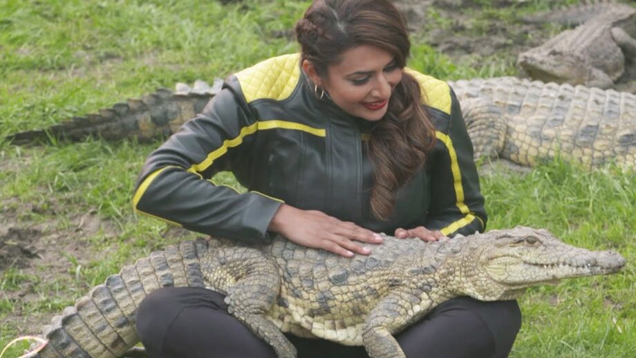 From Carrying A Crocodile To Winning The Ticket To Finale: Here’s A Look At Divyanka Tripathi’s Journey In Khatron Ke Khiladi 11 - 0