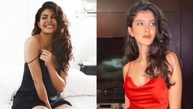 From Jacqueline Fernandez To Shanaya Kapoor: 3 Times Divas Went In For Satin Slip Dress And Set The Oomph On Fire