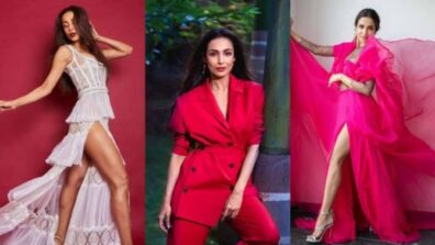 Outfit Inspiration: Malaika Arora Is A Queen Of Chic Outfits And Can Never Go Wrong With It; Take A Look