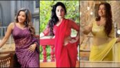 From Monalisa To Rani Chatterjee and Amrapali Dubey: Celebs In Glamorous Ethnic Outfits