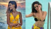 From Shortage Of Beachwear Outfits: Here Is Ananya Panday Taking Away All Your Worries