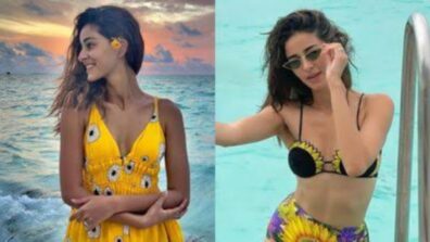 From Shortage Of Beachwear Outfits: Here Is Ananya Panday Taking Away All Your Worries