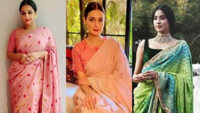 From Vidya Balan, Dia Mirza, And Janhvi Kapoor: Insanely Beautiful Handloom Sarees For Your Wardrobe; See Pics