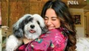 Janhvi Kapoor Posts Goofy Video With Her Pet Panda: Simply Cute