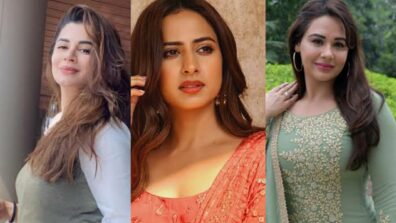 Kainaat Arora, Sargun Mehta To Mandy Takhar: Top Most Beautiful Punjabi Actresses Who Could Give Btown Divas Fight For Their Money