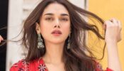 Key Facts About Aditi Rao Hydari We Bet You Would Love To Know
