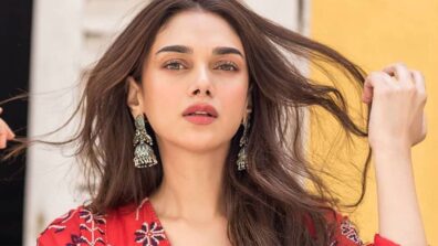 Key Facts About Aditi Rao Hydari We Bet You Would Love To Know