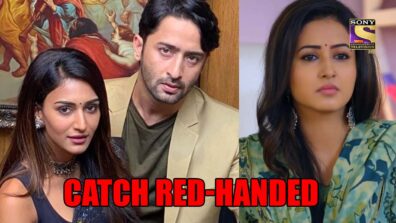 Kuch Rang Pyar Ke Aise Bhi- Nayi Kahani spoiler alert: Dev and Sonakshi catch Sanjana red-handed
