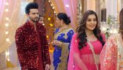 Kundali Bhagya written update S01 Ep1110 12th November 2021: Karan mishears conversation