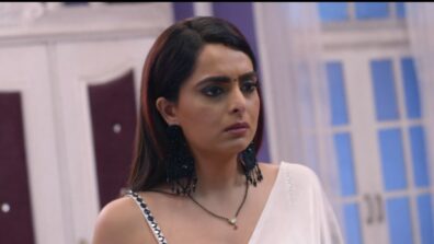 Kundali Bhagya written update S01 Ep1117 23rd November 2021: Rishabh confronts Sherlyn