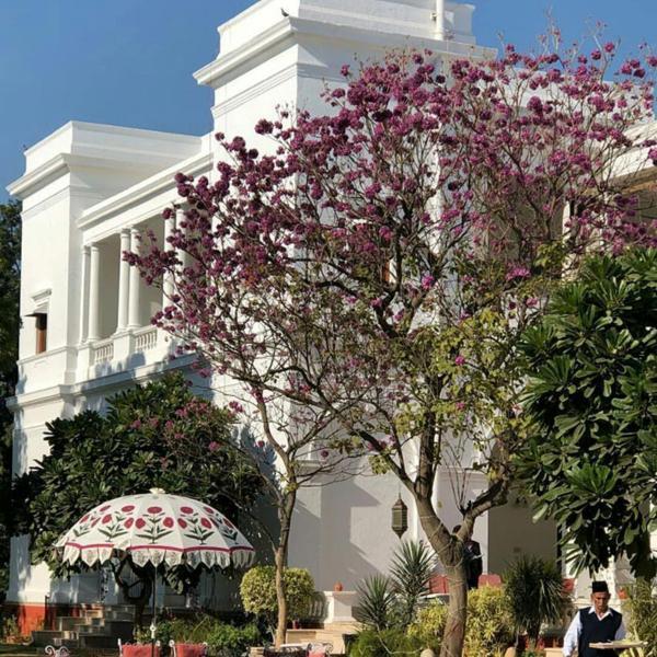 Land Of Royals! 5 Captivating Photos Of Saif Ali Khan’s Pataudi Palace That Are Worth A Watch - 3