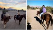 Liger Chemistry: Ananya Panday and Vijay Deverakonda are out for Horse Ride, see pics