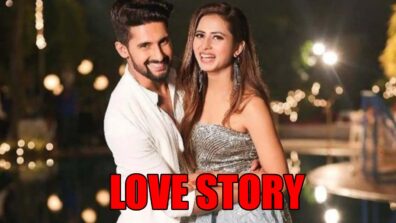 Love Is In The Air: Sargun Mehta And Ravi Dubey’s Love Story Is Inspiring And We Love It: See Here