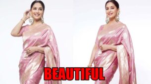 Madhuri Dixit Is All Smiles In Beautiful Pink Silk Saree: See Pics