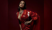 Malaika Arora’s Top 5 Boldest Looks That Took The Internet By Storm: Pics Inside
