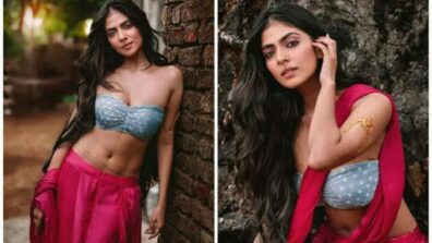 Malavika Mohanan Goes Fierce Warrior Style In No Blouse Only Saree Look: See Pic